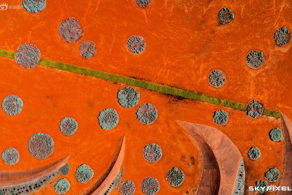 波普談三分命中率提高：保持良好節(jié)奏 對我投入的訓(xùn)練很有信心