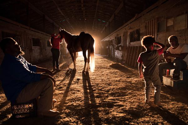 賞金女王模擬器·com截圖2