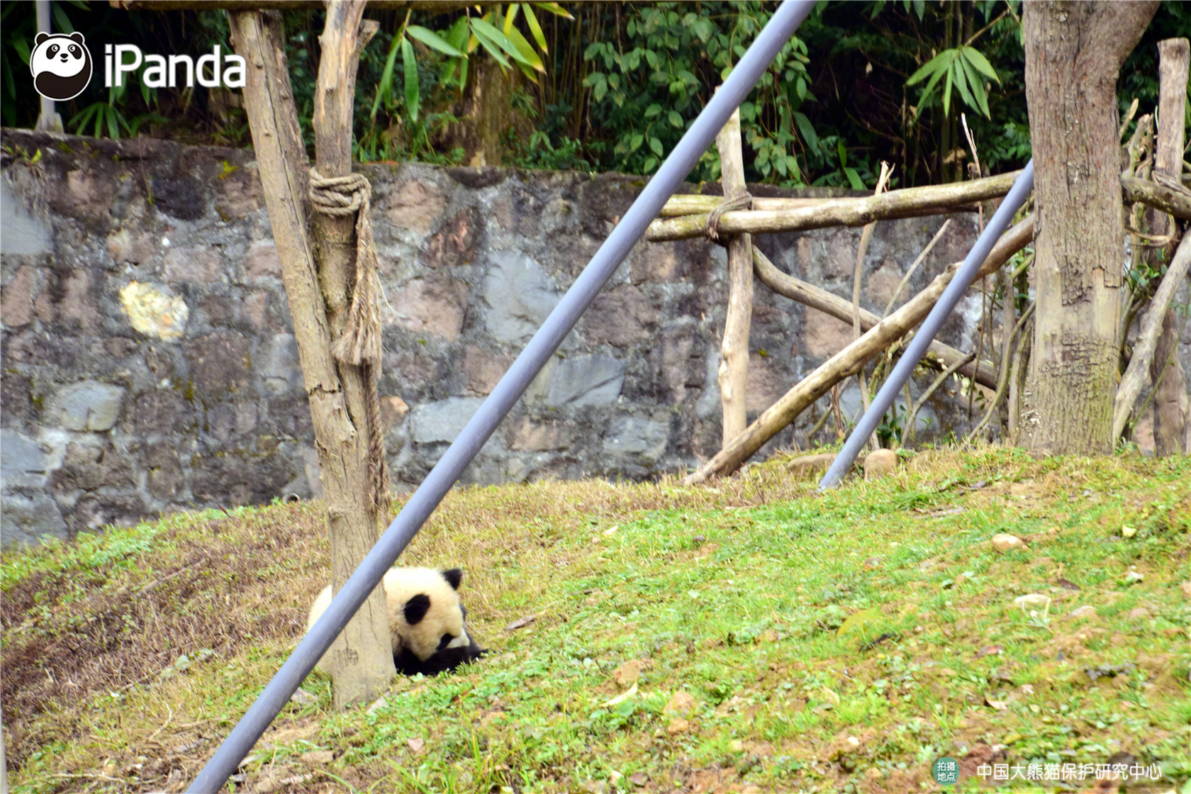 當鋪模擬器游戲手機中文版 v2.0